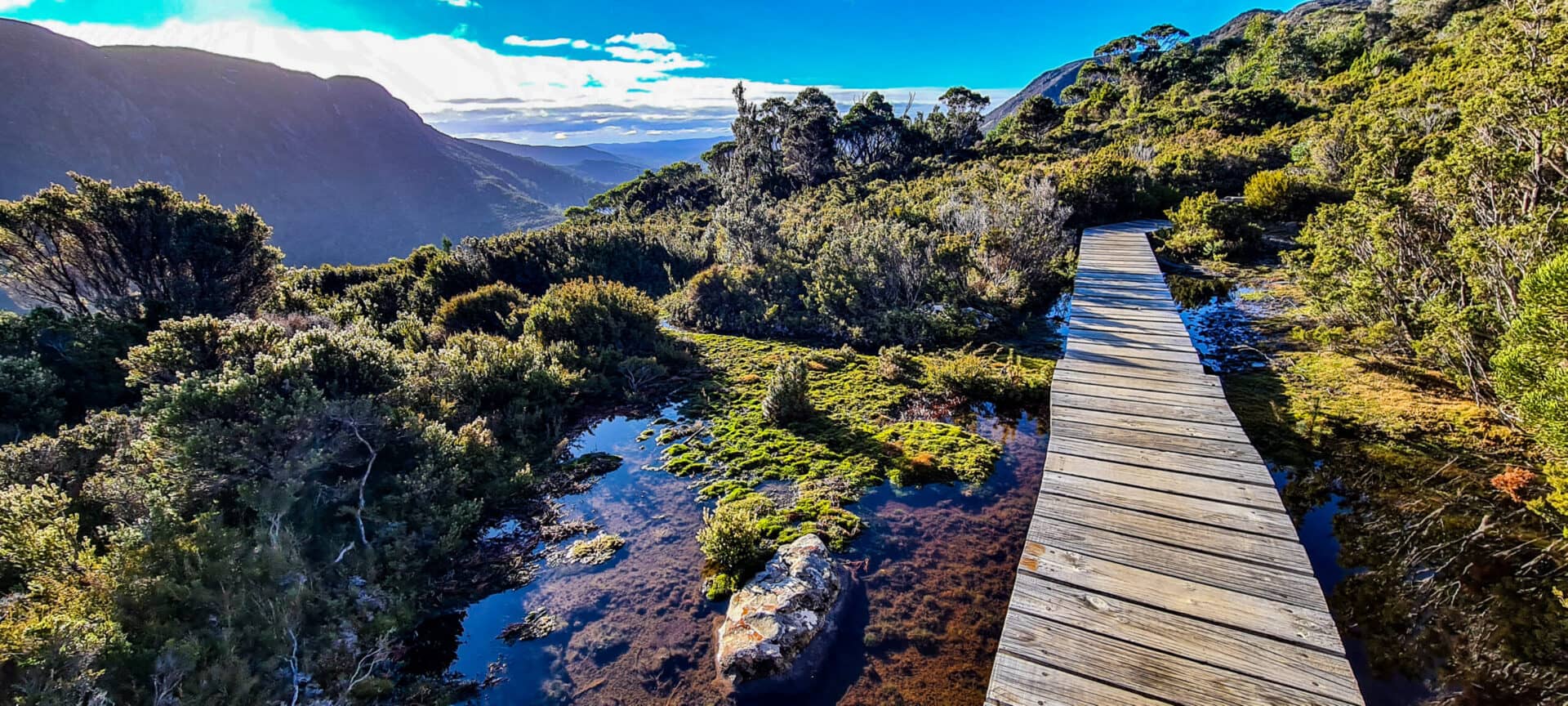 Wooden Boardwalk with puddles of water on the sides